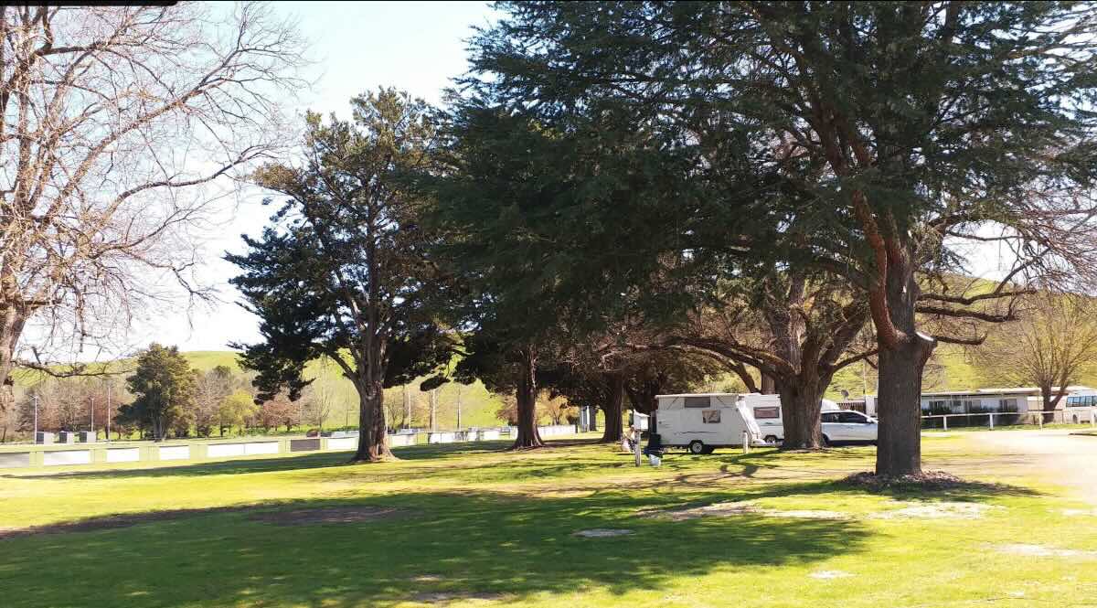 Alexandra Showgrounds Pet-Friendly Camping near Lake Eildon