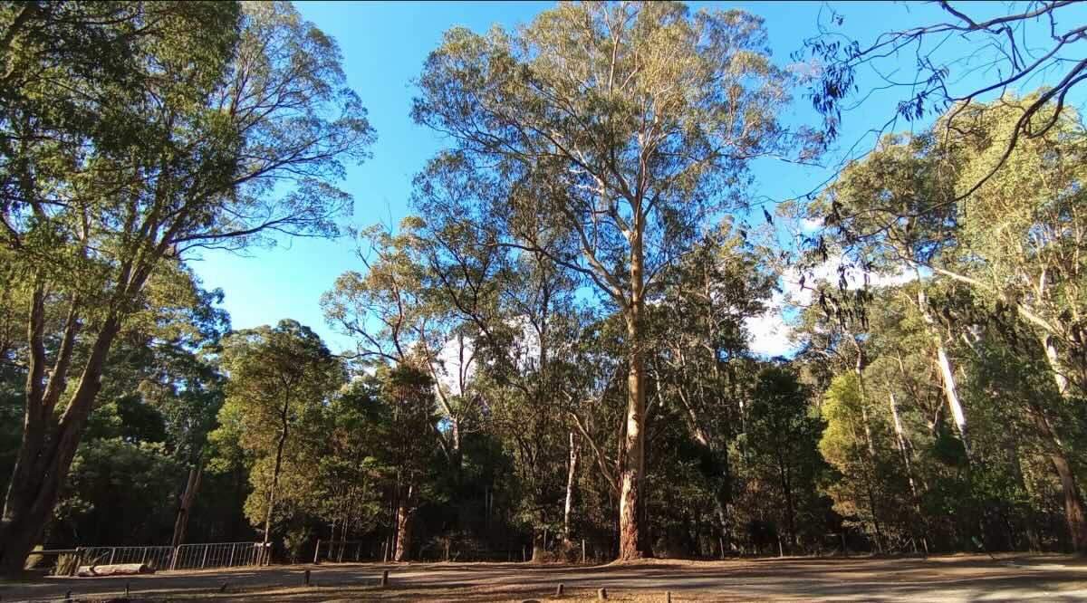 Cooks Mill Campground
