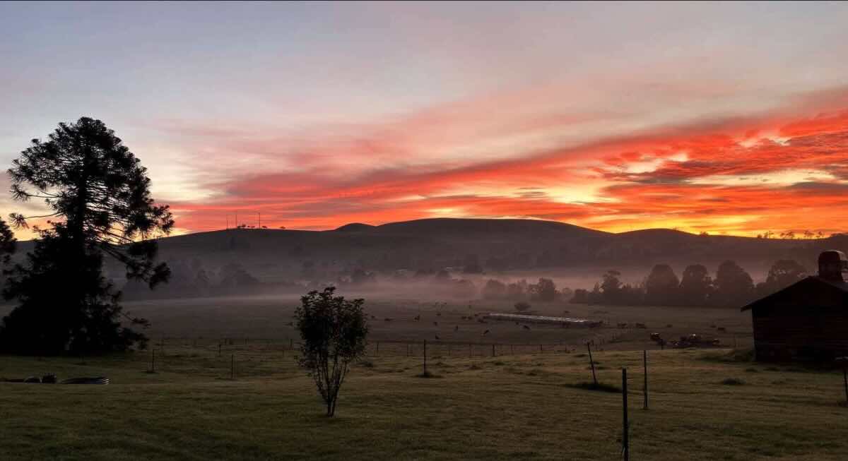 Grandview Sanctuary