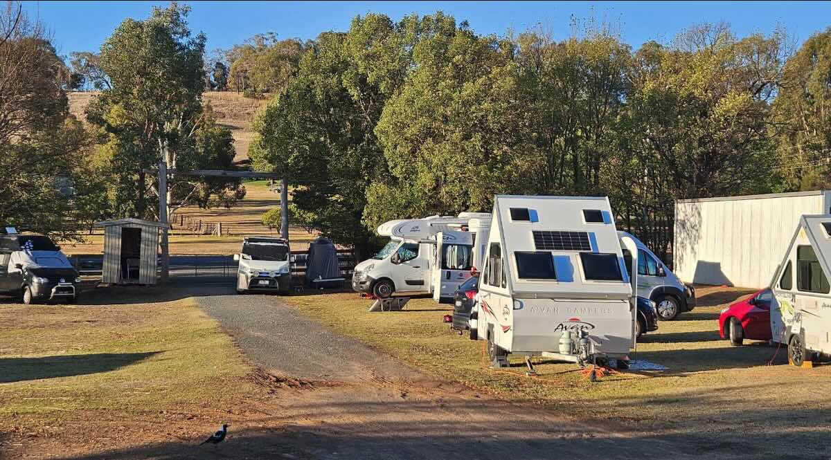 Mansfield Showgrounds – Affordable Pet-Friendly Camping at the Gateway to the High Country