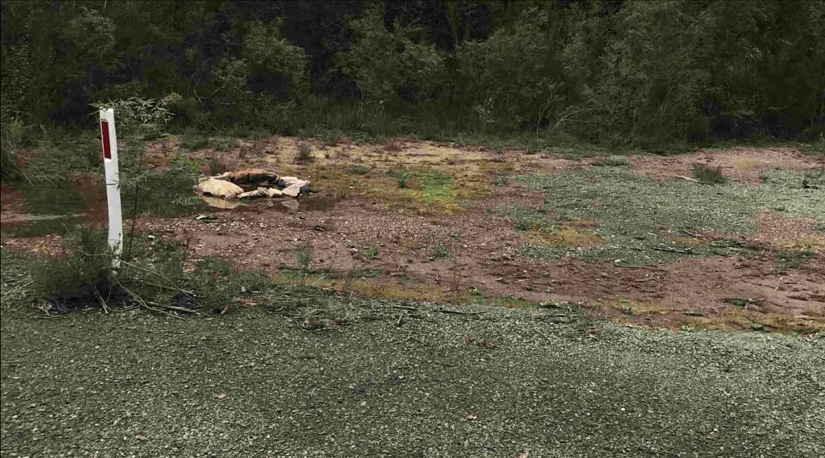 Wingan Link Camp Site – A Remote Croajingolong Bush Camp