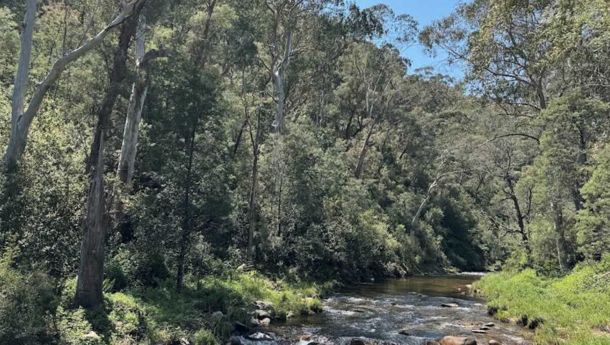 7 Mile Campground