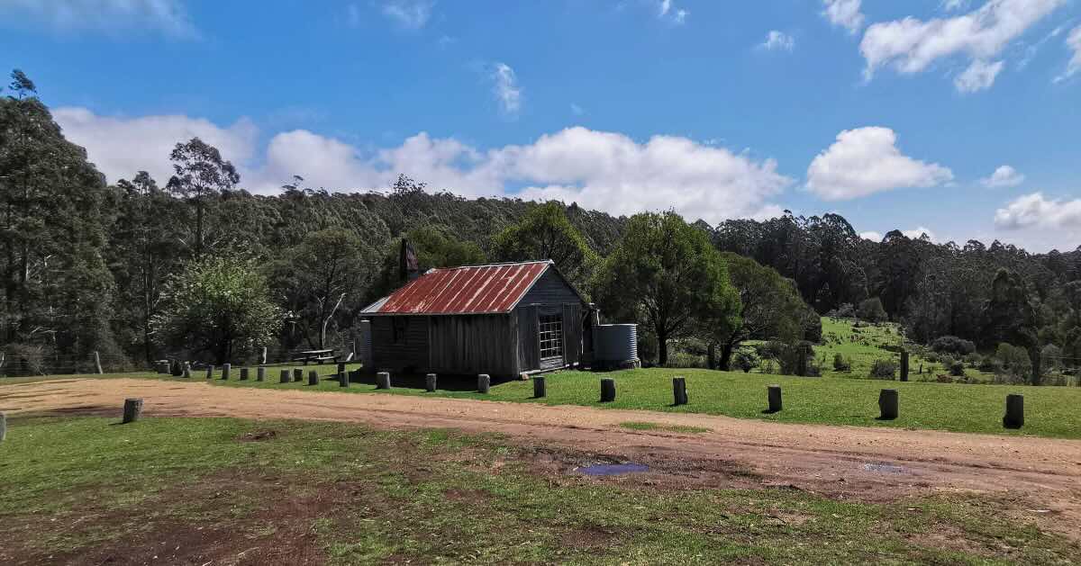 Alexanders Hut campground, Tantawangalo NSW