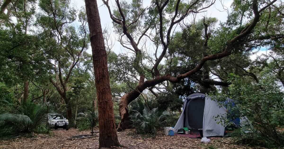 Aragunnu campground