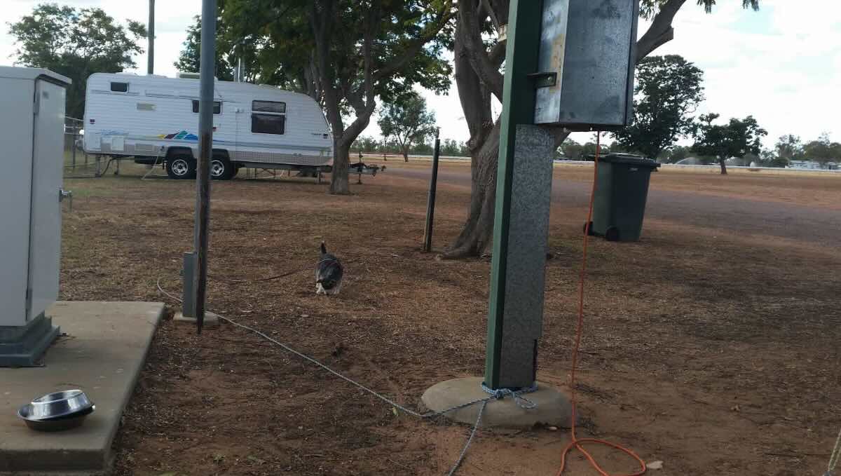 Barcaldine Showgrounds