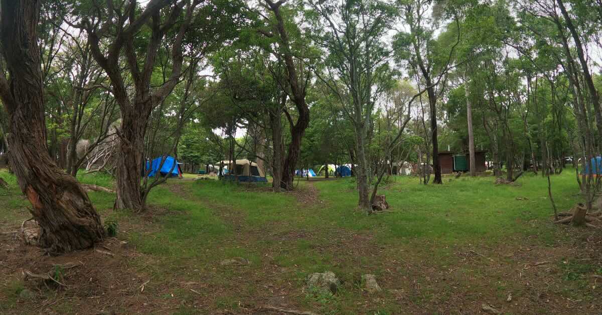 Bittangabee campground