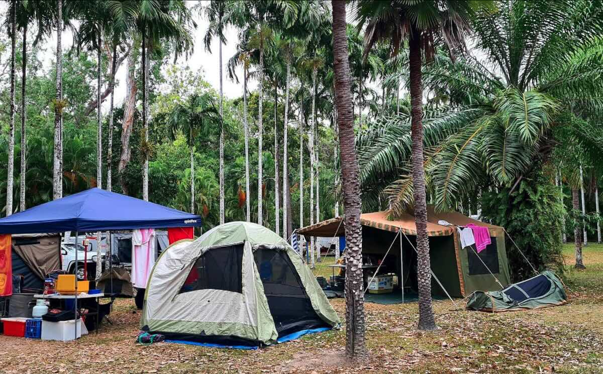 Bloomfield Cabins and Camping – Your Wilderness Basecamp for the Bloomfield Track