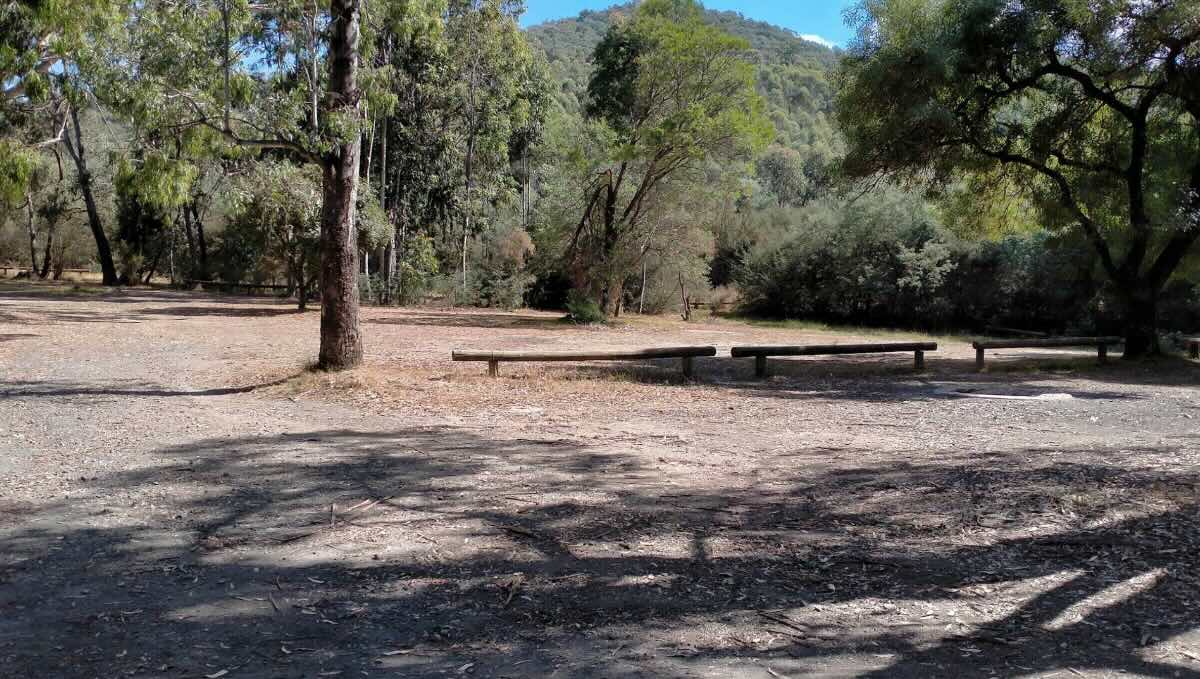 Blue Gum Flat Campground