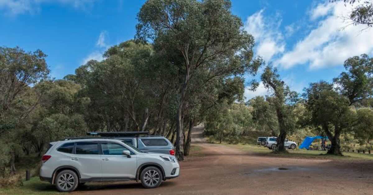 Blue Waterholes campground, Cooleman NSW