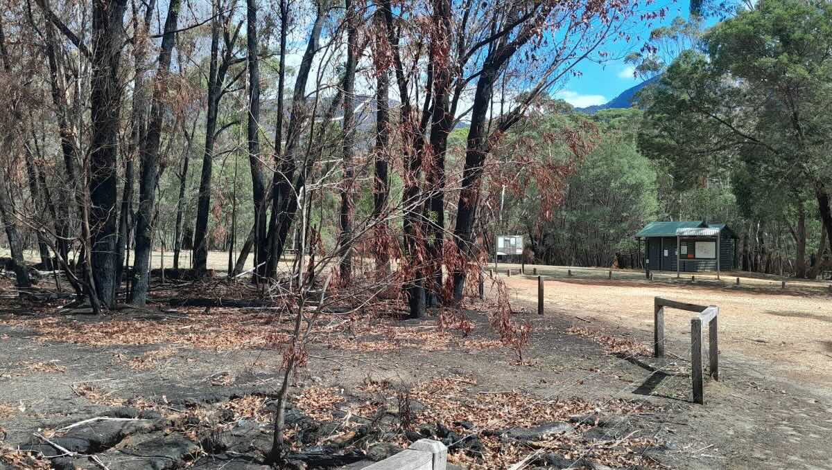 Borough Huts Campground