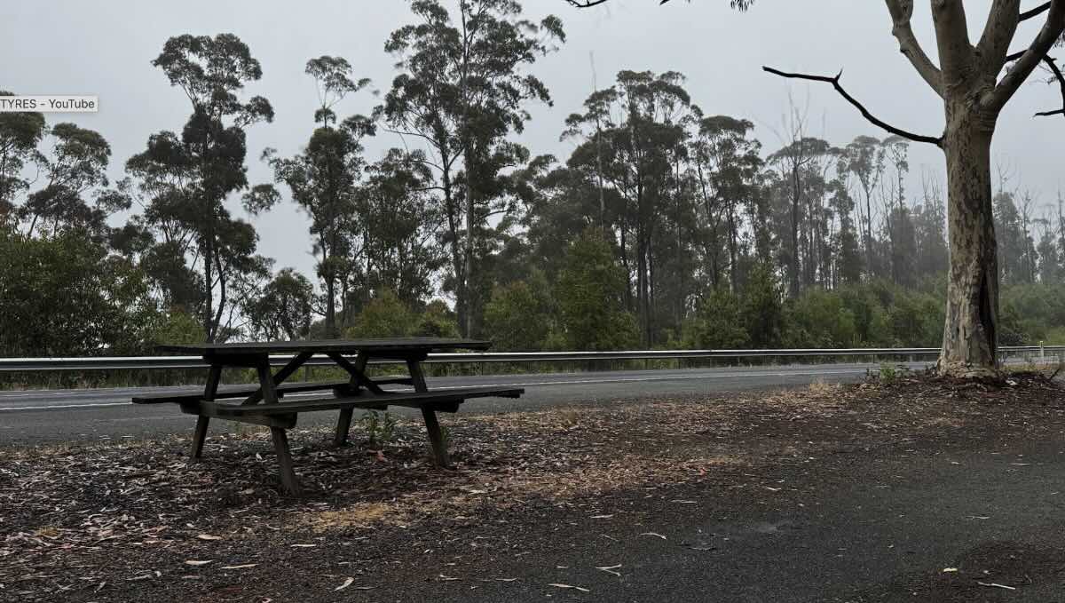 Brightlight Saddle Rest Area – Free Camping in Lind National Park, VIC
