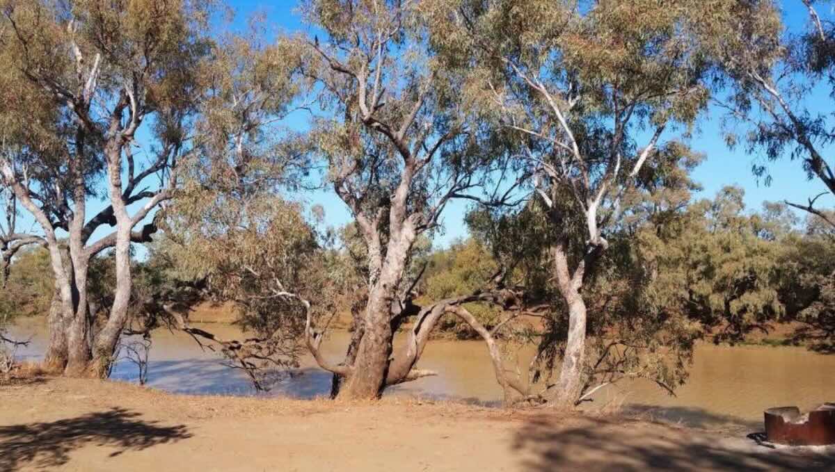Broadwater Waterhole camping area