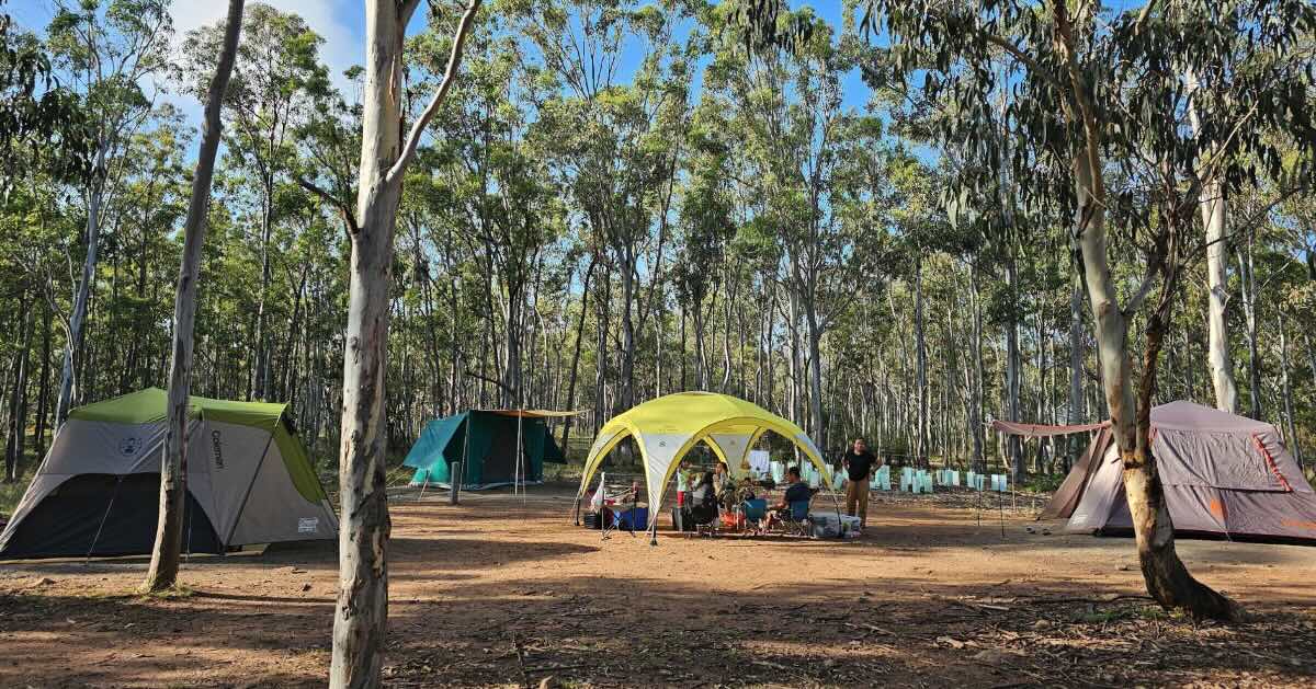 Bungonia campground