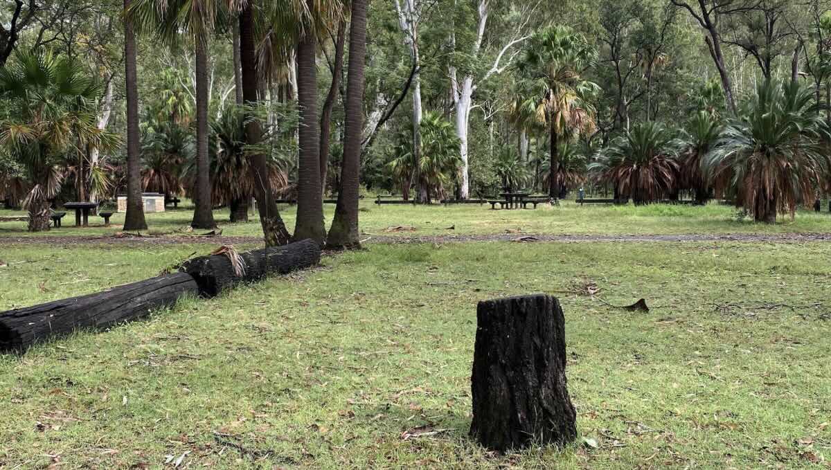 Carnarvon Gorge camping area
