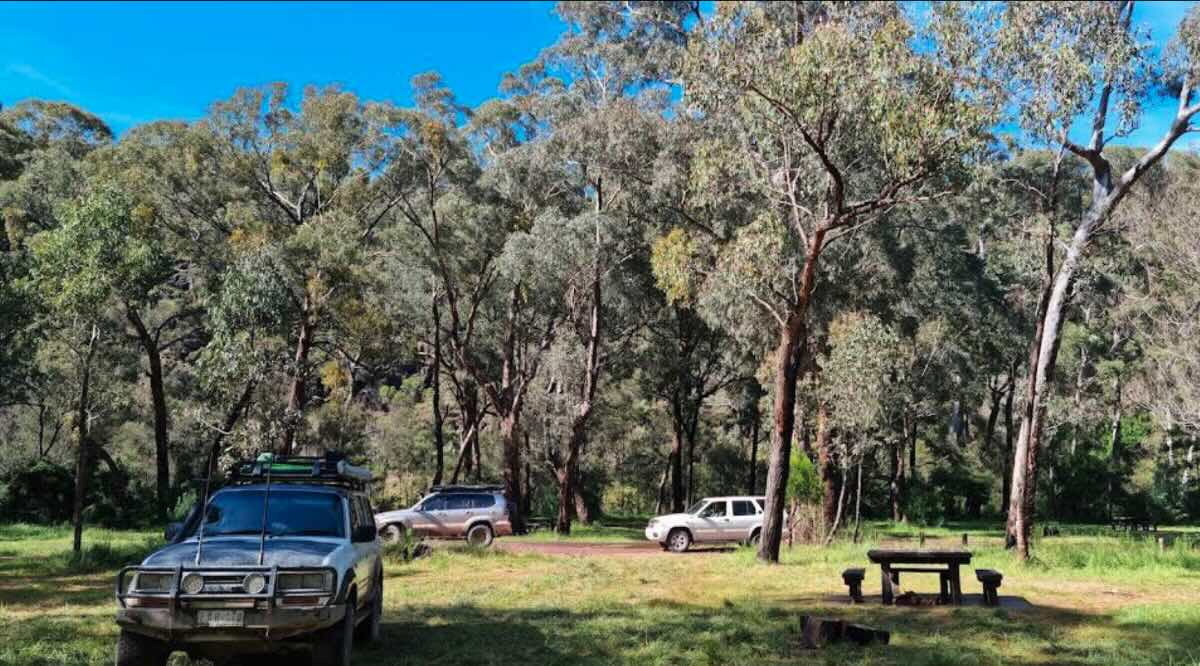 Cockatoo Camp 9