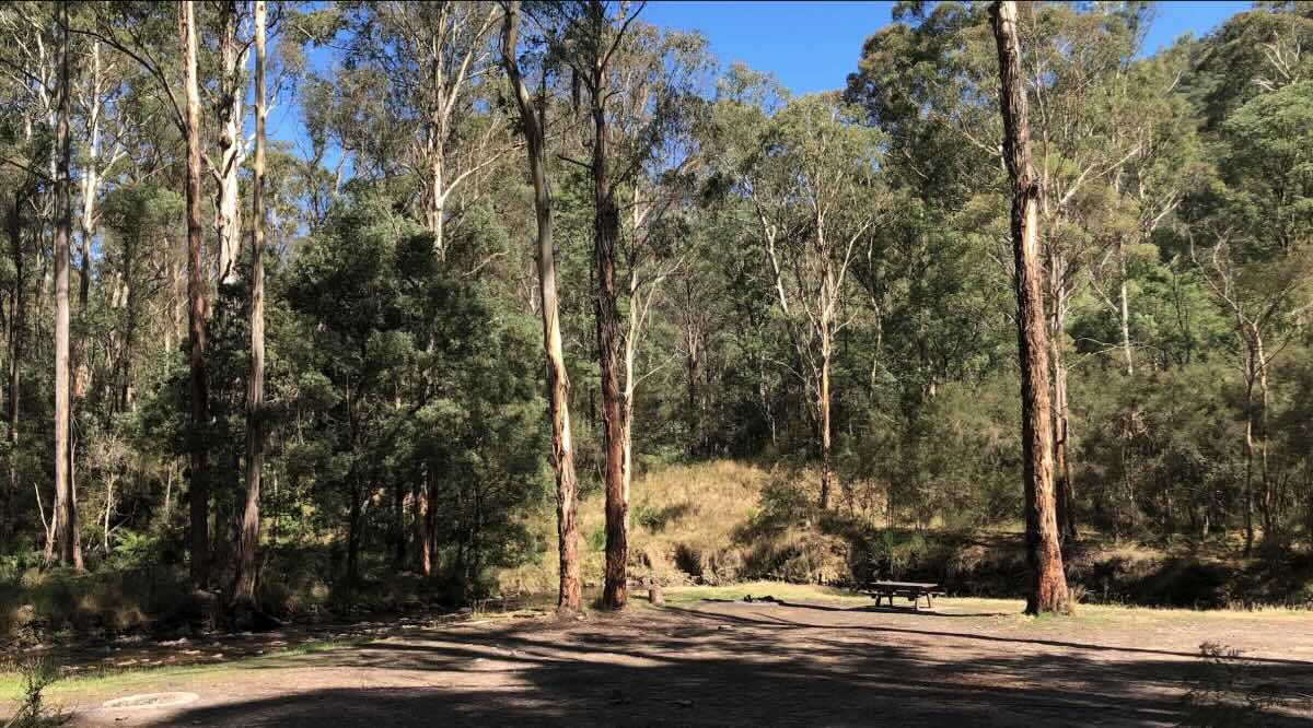 Comet Flat Campground