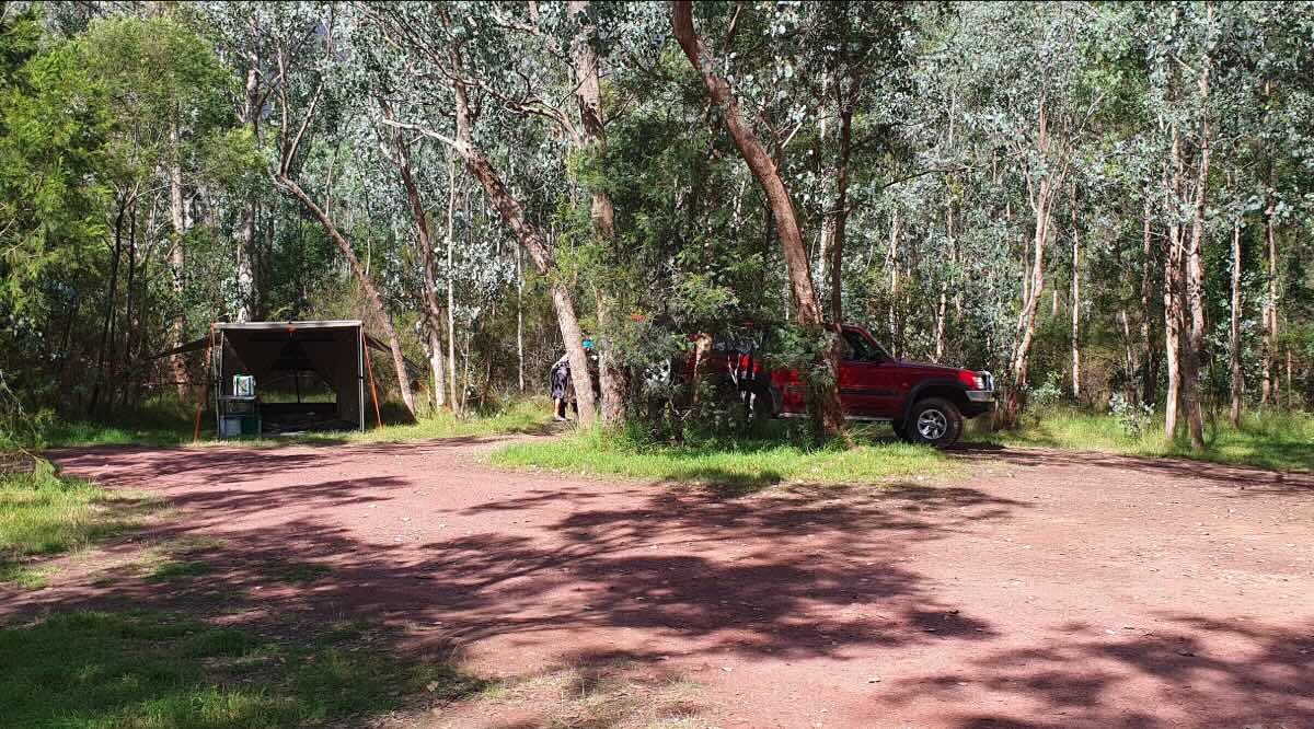 Currawong camp