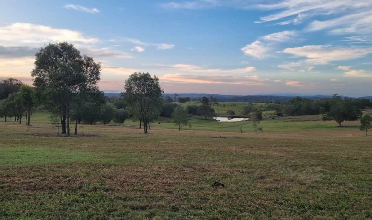Fig Tree Camp – Secluded Bush Camping Near Mount Perry