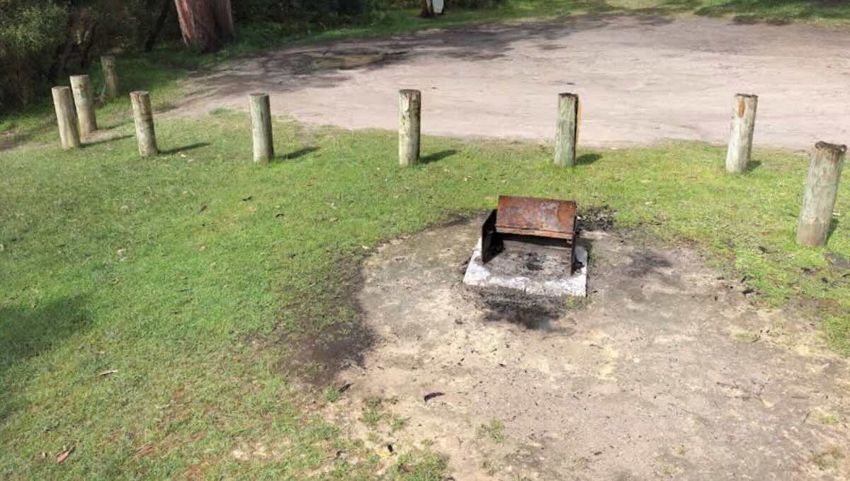Forest Camp South