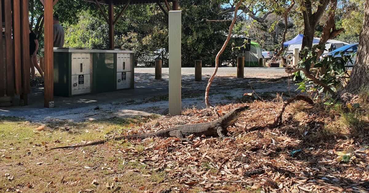 Illaroo campground