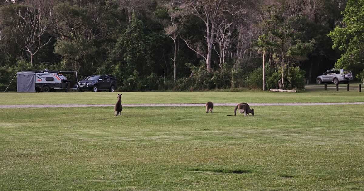 Indian Head campground