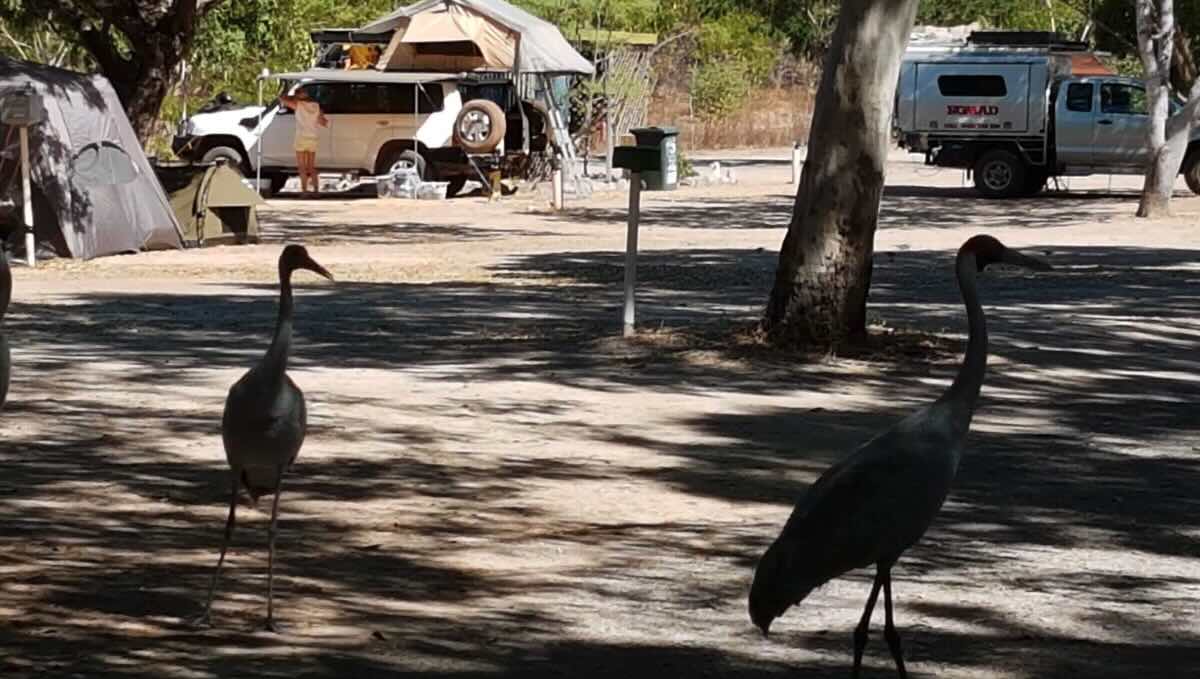 Karumba Gulf Country Caravan Park