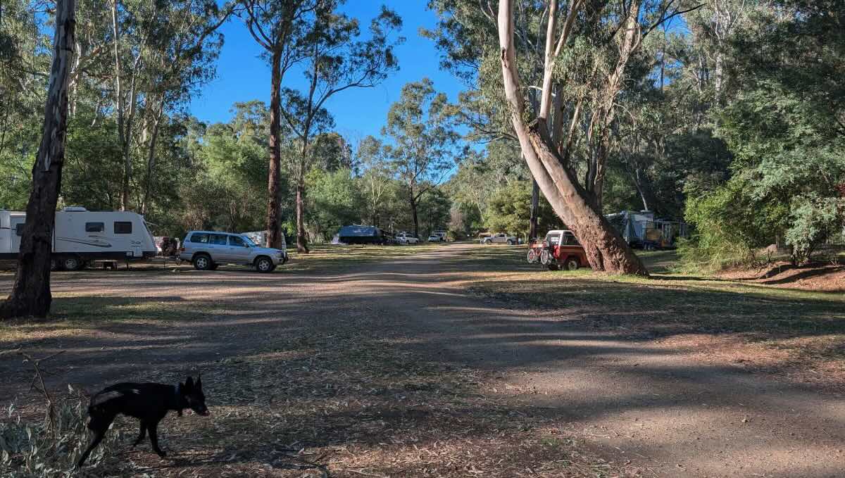 King River Camping