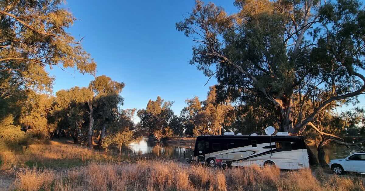 Lachlan River Campground – Riverside Camping near Hillston, NSW