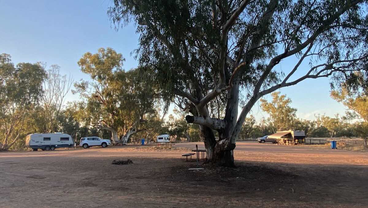 Lloyd Jones Weir Barcaldine