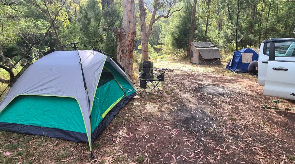 Manna Gum Campsite 7