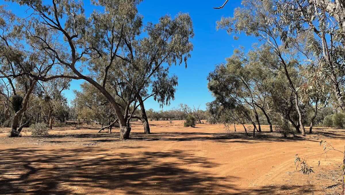 Mayne River free campsite