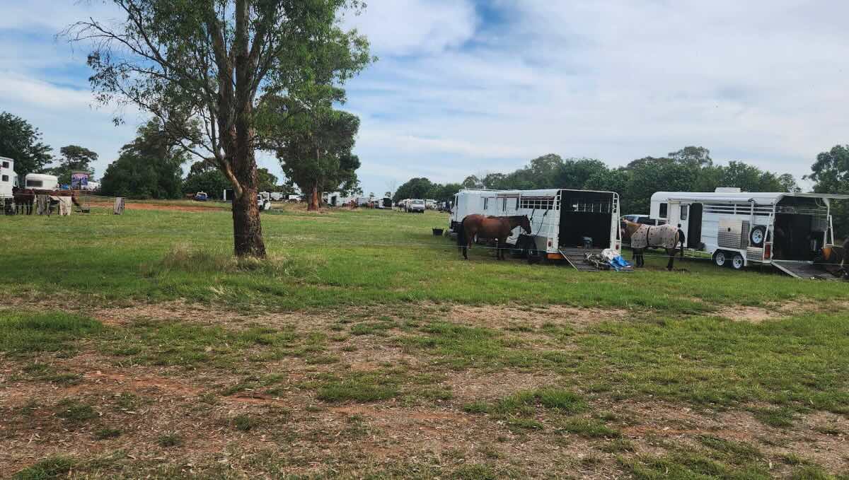 Muckatah Recreation Reserve – Peaceful Camping Near Cobram & the Murray River