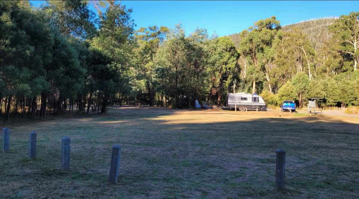 Murrindindi Scenic Reserve