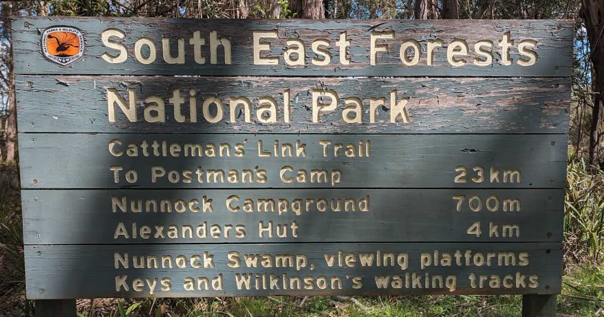 Nunnock Campground, South East Forest National Park NSW