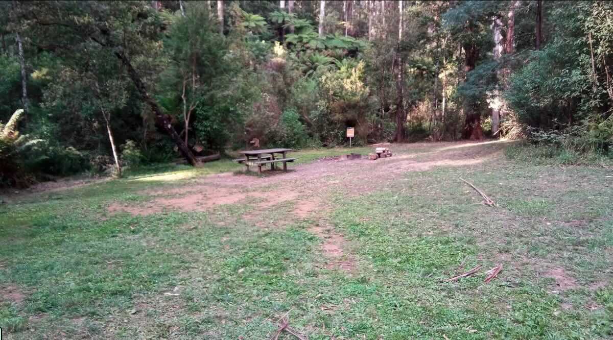 O'Sheas Mill Site, East Tyers Campsite