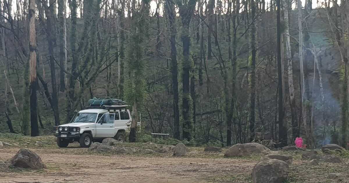 Postmans campground, Tantawangalo NSW