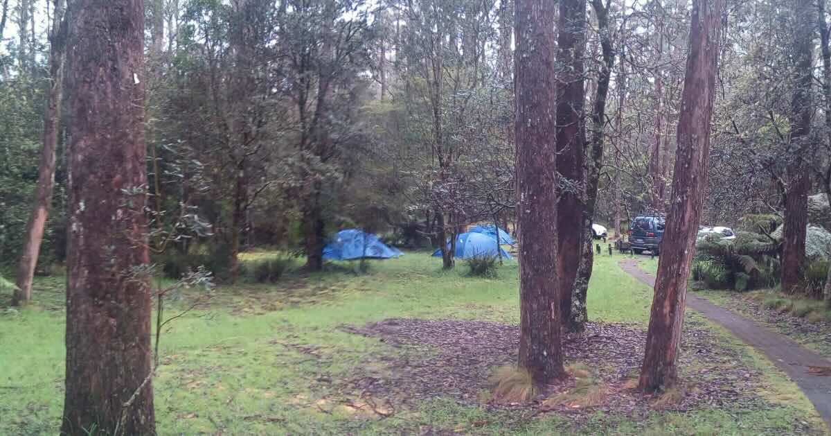 Thungutti campground