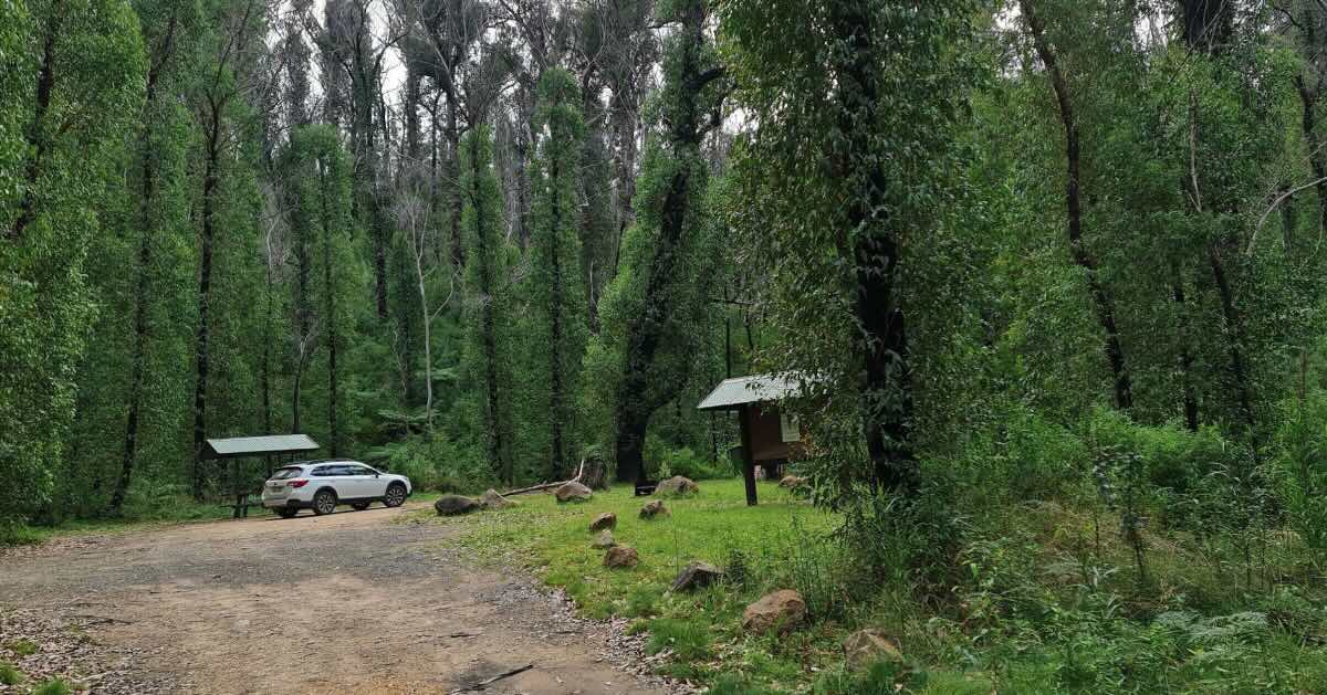 Six Mile Creek campground, Tantawangalo NSW