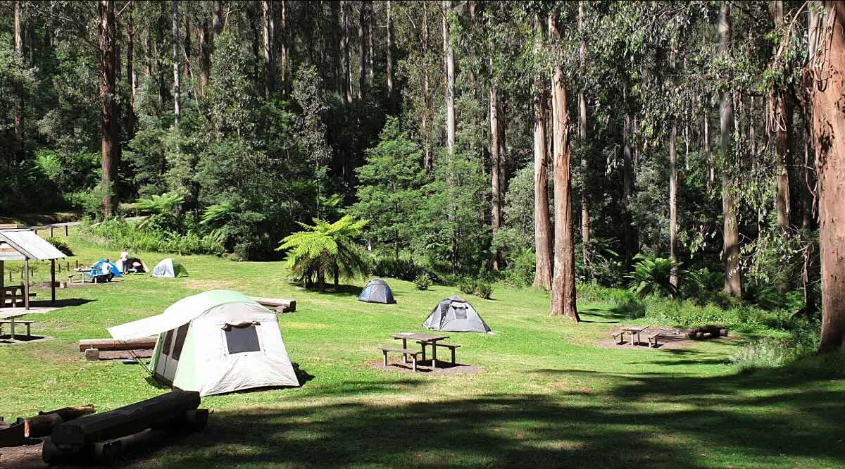 Starlings Gap Campground