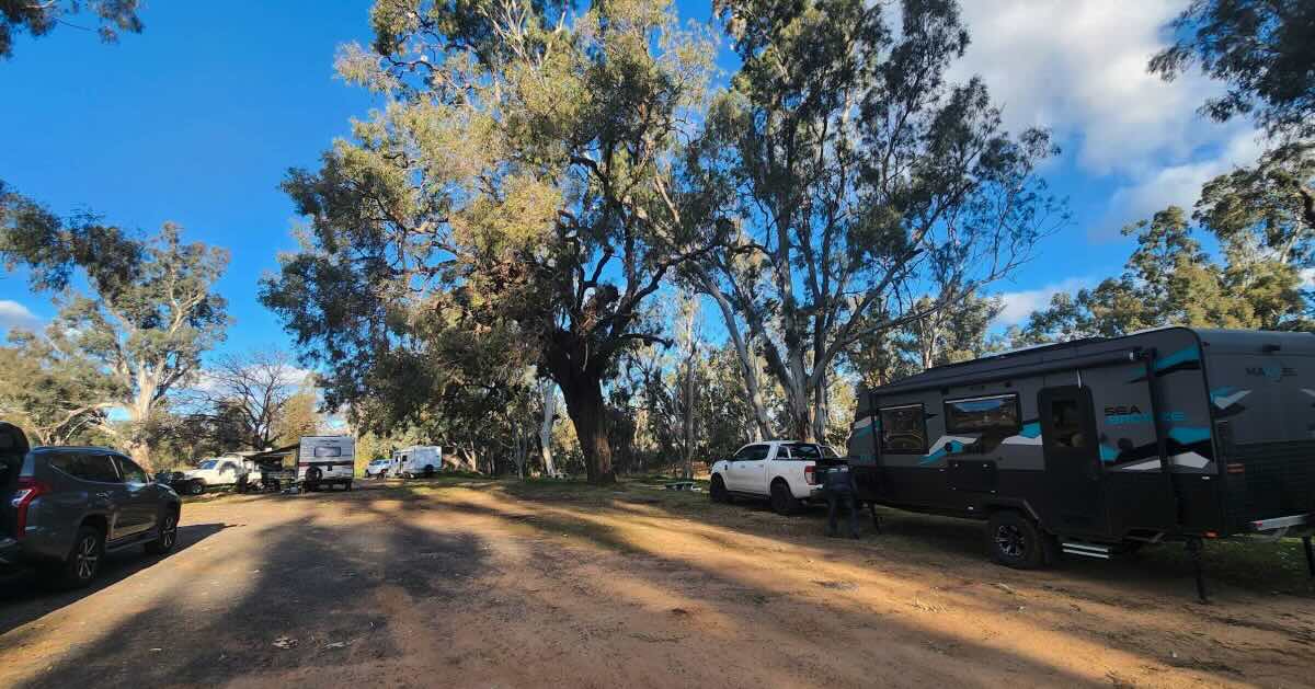 Terramungamine Reserve