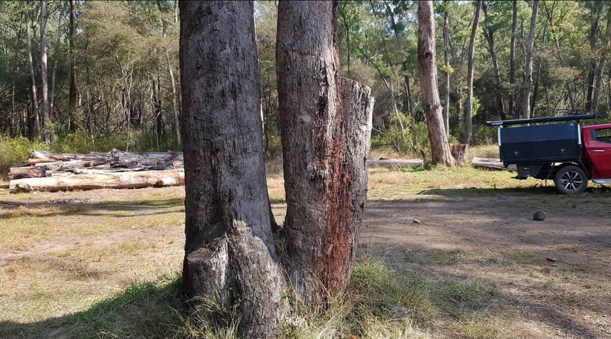 Toponga campground