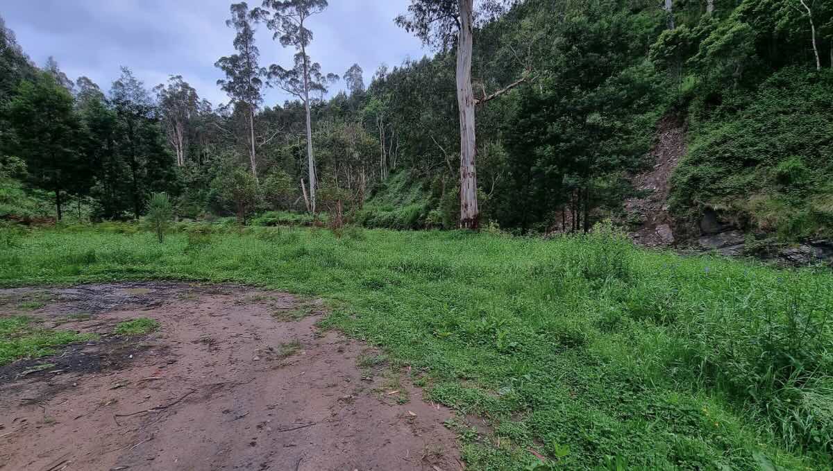 Traralgon campsite 1