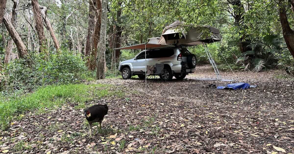 Treachery Camp – Seal Rocks, NSW