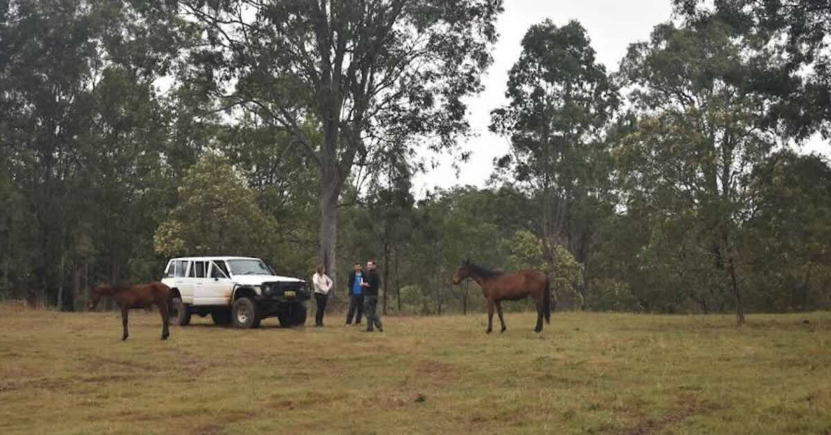 Twin Dams Campground – Private Farm Stay Camping Tabulam NSW
