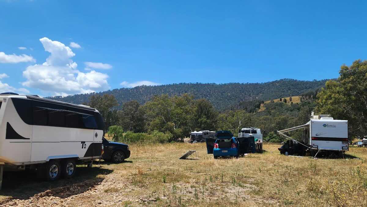 Walwa Camping Reserve with Cow