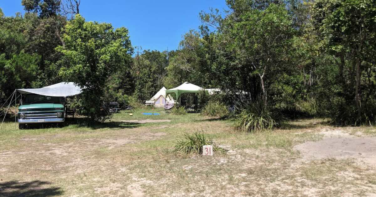 Waves Campground – Pet-Friendly Camping Crescent Head