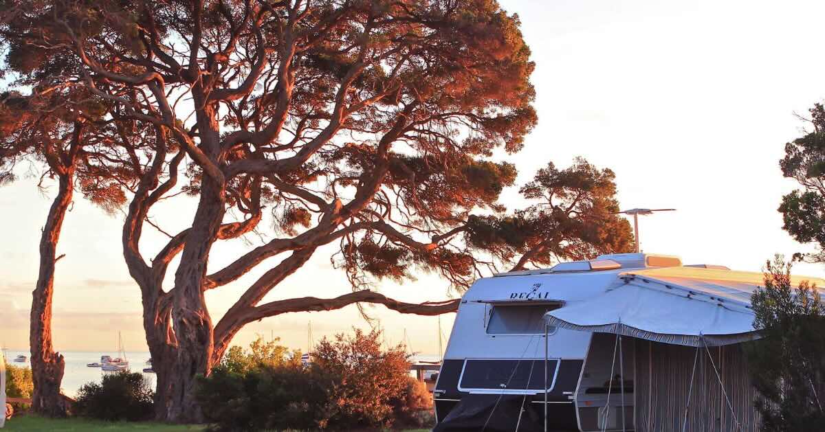 WhiteCliffs Foreshore Campground