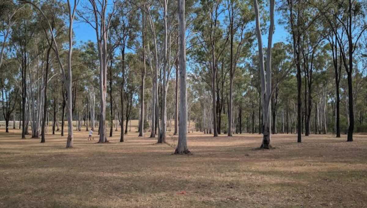 Wondai Showgrounds Camping – Base Camp for the South Burnett Rail Trail