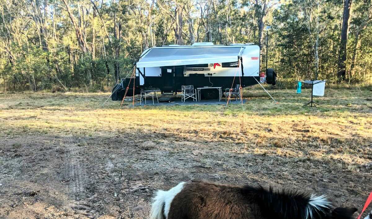 Woodlands Farmstay and Glamping – Howard Countryside Retreat