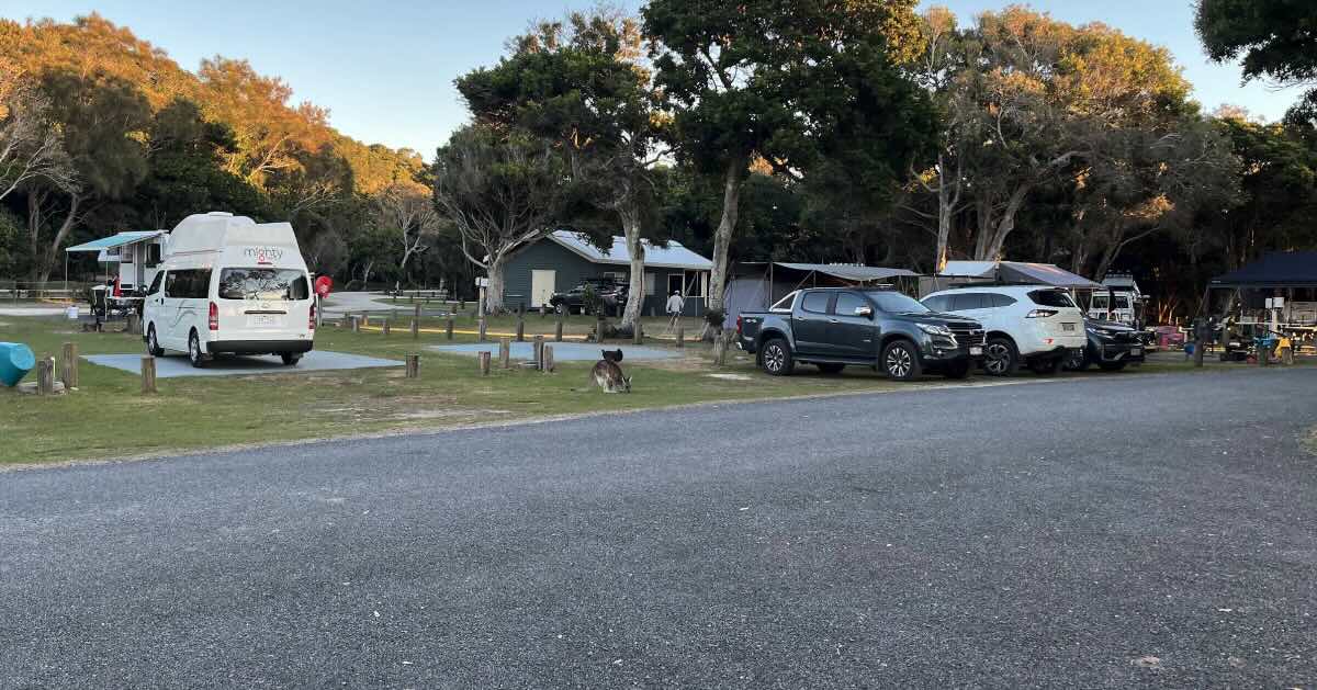 Woody Head Campground, Woody Head NSW